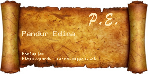 Pandur Edina névjegykártya